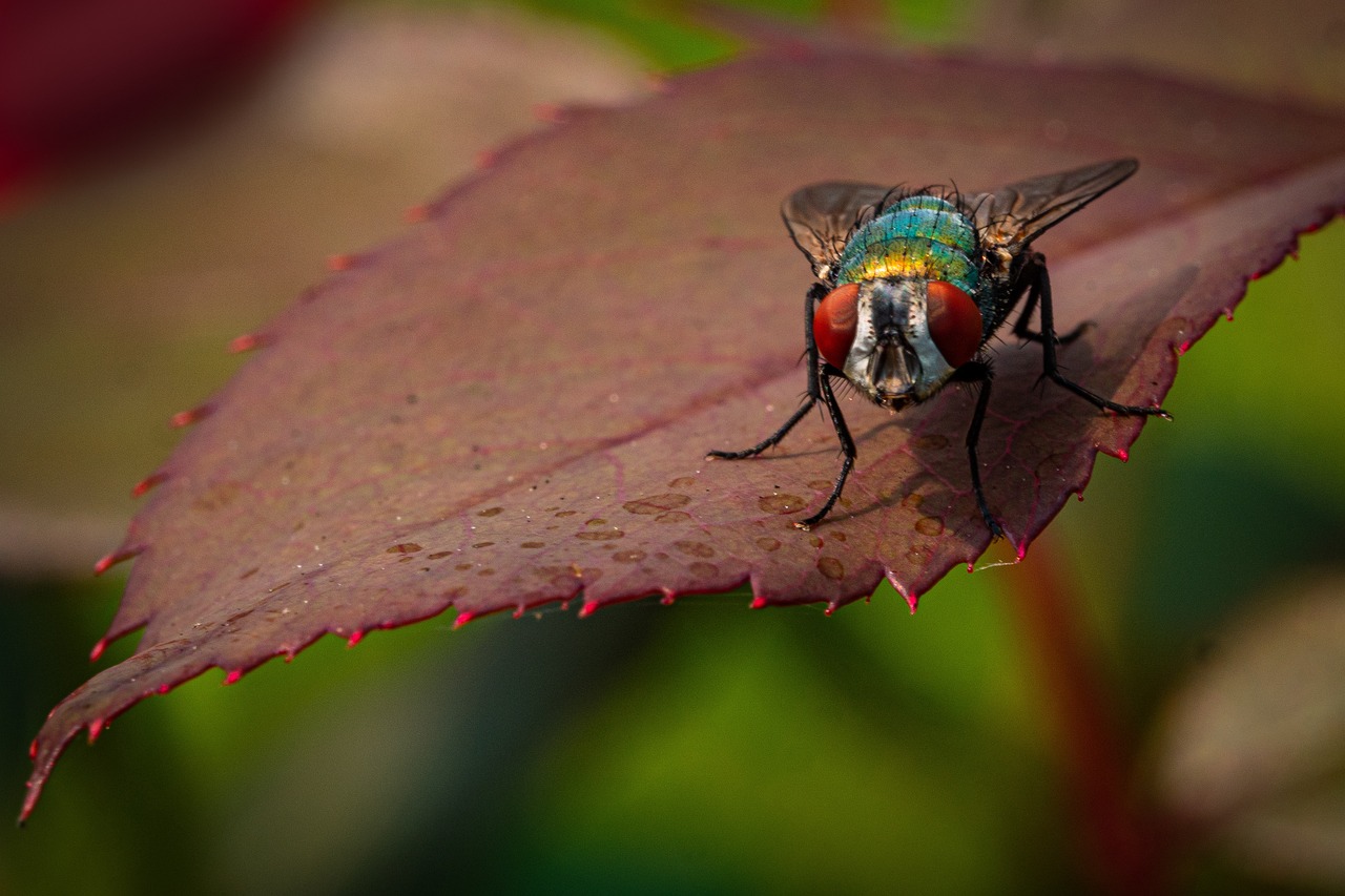 10 Tips for Eco-Friendly Gardening